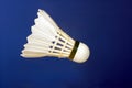 Shuttlecocks for badminton