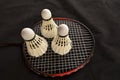 Shuttlecocks with racket for badminton game Royalty Free Stock Photo