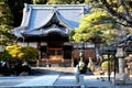 Shuzenji - Japanese Temple