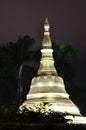 Shwedagon Pagoda,Myanmar(Burma) at night Royalty Free Stock Photo