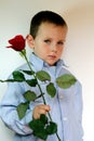 shy boy giving flowers Royalty Free Stock Photo