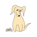 Shy dog with a bone. A picture, a vector. Royalty Free Stock Photo