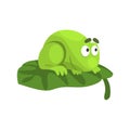 Shy Green Frog Funny Character Sitting On The Leaf Childish Cartoon Illustration Royalty Free Stock Photo