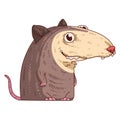 A Shy Possum, isolated vector illustration. Cute cartoon sticker