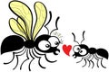 Shy worker ant declaring its love to the queen ant Royalty Free Stock Photo