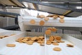 Shymkent, Kazakhstan - 03.12.2020 : Rakhat confectionery factory. The finished cookies are rolled off the conveyor belt Royalty Free Stock Photo