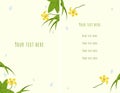 Spring flowers set menu, trendy wildflowers background, spring flowers template menu