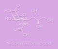 Sialic acid N-acetylneuraminic acid, Neu5Ac, NANA molecule. Skeletal formula.