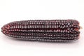 Siam ruby queen corn on isolate white background.It can eat as a fresh,steam,grill,and microwave.Sweet red corn of Thailand.