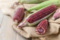 Siam Ruby Queen Corn on wood background,