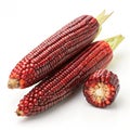 Siam ruby queen Thai red corn isolated on white background Royalty Free Stock Photo