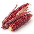 Siam Ruby Queen Thai red corn isolated on white background Royalty Free Stock Photo