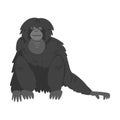 Siamang Monkey as Arboreal, Black-furred Gibbon Vector Illustration Royalty Free Stock Photo