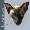 siames cat Royalty Free Stock Photo