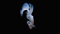 Siamese betta fish is the national fish of Thailand. It`s a fighter fish. The distinguishing feature of this figure is white wi