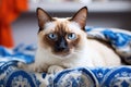 Siamese cat with blue eyes sitting on blanket