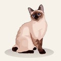 Siamese cat. Cat breed. Favorite pet. Lovely fluffy kitten with green eyes. Realistic vector illustration. Royalty Free Stock Photo