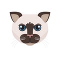 Siamese cat face, cute head of shorthair animal, kitten portrait Royalty Free Stock Photo