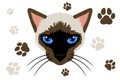 Siamese cat face seamless pattern background illustration Royalty Free Stock Photo