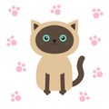 Siamese cat in flat design style. Cute cartoon character with blue eyes. Paw print. White background. Isolated.