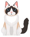Siamese cat. Fluffy pet sitting. Pet icon