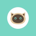Siamese cat head round circle icon in flat design style. Cute cartoon character. Happy sitting kitten with blue eyes Royalty Free Stock Photo