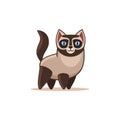 Siamese Cat Isolated on the White Background