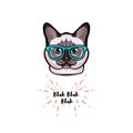 Siamese cat in smart glasses. Cat geek. Vector illustration.