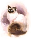 Siamese Cat Watercolor Animals Pets Illustration Hand Painted