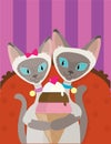 Siamese Cats Ice Cream Royalty Free Stock Photo