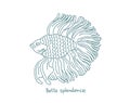 Siamese fighting fish. Betta splendens. Aquarium fish. Vector contour line. Open paths. Editable stroke. Royalty Free Stock Photo