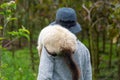 Siamese Himalayan cat on the shoulders