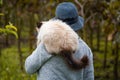 Siamese Himalayan cat on the shoulders