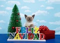 Siamese kitten Spanish merry Christmas Royalty Free Stock Photo