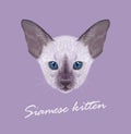 Siamese Kitten. Vector Illustration