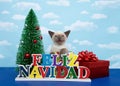 Siamese kitten wishing Merry Christmas in Spanish Royalty Free Stock Photo