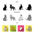 Siamese and other species. Cat breeds set collection icons in black, flat, monochrome style vector symbol stock