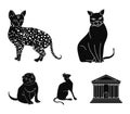 Siamese and other species. Cat breeds set collection icons in black style vector symbol stock illustration web.