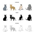 Siamese and other species. Cat breeds set collection icons in cartoon,black,outline style vector symbol stock