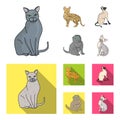 Siamese and other species. Cat breeds set collection icons in cartoon,flat style vector symbol stock illustration web.