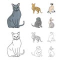 Siamese and other species. Cat breeds set collection icons in cartoon,outline style vector symbol stock illustration web