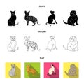 Siamese and other species. Cat breeds set collection icons in cartoon style vector symbol stock illustration web.