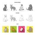 Siamese and other species. Cat breeds set collection icons in flat,outline,monochrome style vector symbol stock