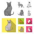 Siamese and other species. Cat breeds set collection icons in monochrome,flat style vector symbol stock illustration web