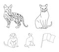 Siamese and other species. Cat breeds set collection icons in outline style vector symbol stock illustration web.