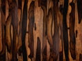Siamese Rosewood texture background. Royalty Free Stock Photo