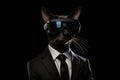 Siamese In Suit And Virtual Reality On Black Background