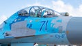 Ukrainian Sukhoi Su-27 fighter jet at Siauliai Air Base