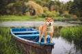 Siba on a boat. River Royalty Free Stock Photo