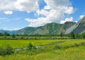 Siberia. Altai. View on green valley Royalty Free Stock Photo